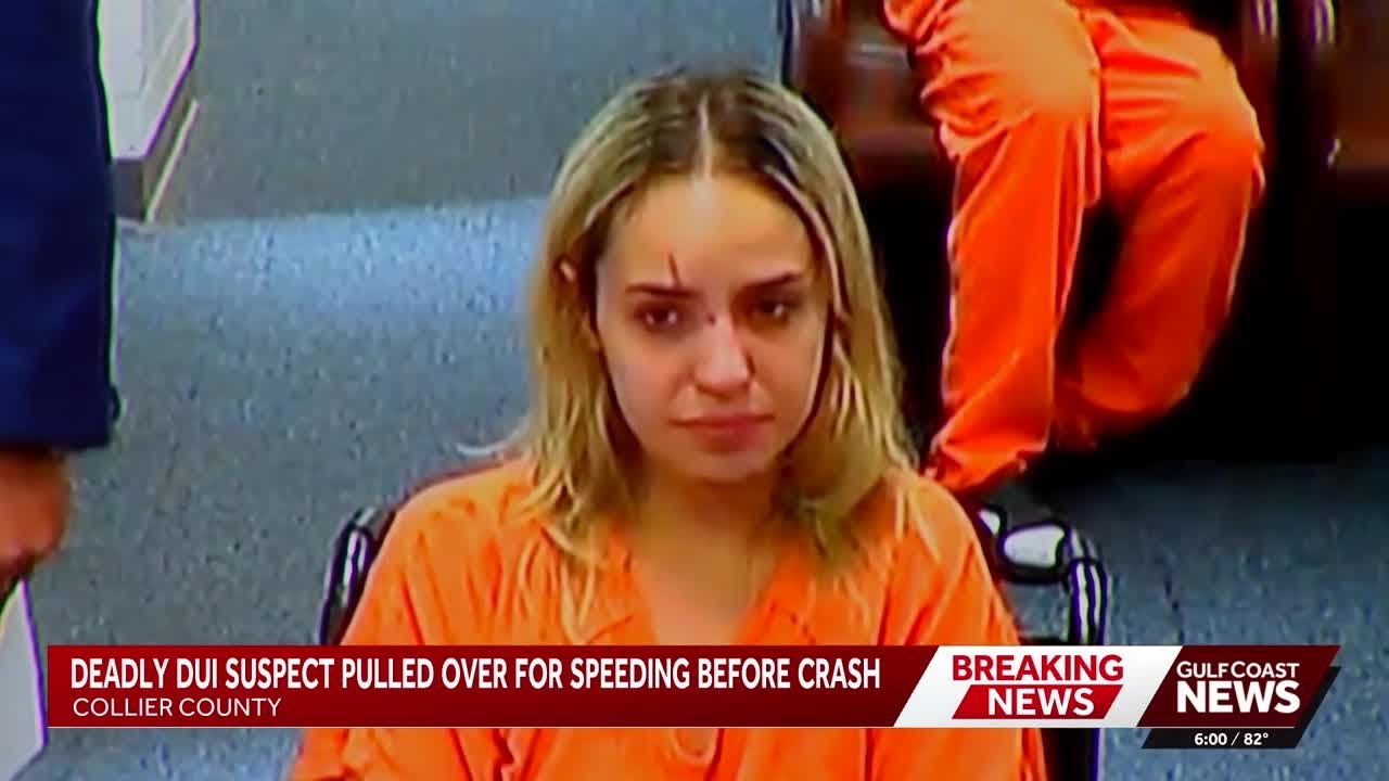 Driver in deadly I-75 wrong-way DUI crash was stopped by Florida deputy ...