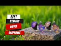 2025’s Best Dynamic Driver Earphones – Crystal Clear Sound!