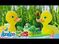 Five Little Ducks - THE BEST Songs for Children | LooLoo Kids