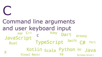 C - Command line arguments and user keyboard input