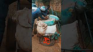 7 Fall Many Rise #usafiboyz #ryginking #dynastyrecords