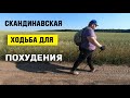 Тестируем спорт для похудения. Скандинавская (северная) ходьба.