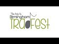 Birmingham tradfest 2018 promo