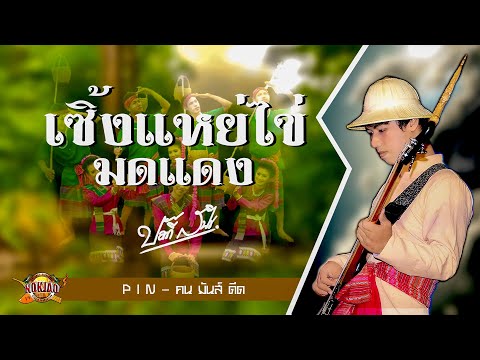 เซิ้งแหย่ไข่มดแดง - ป๊อกกี้ สินไซ [ลายพิณบรรเลง]