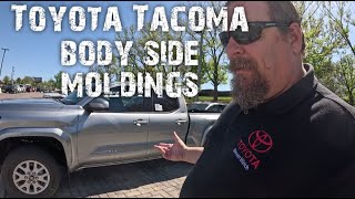 Toyota Tacoma Body side moldings and door edge guards