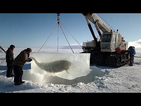 ¡Una antigua maravilla descongelada después de milenios!
