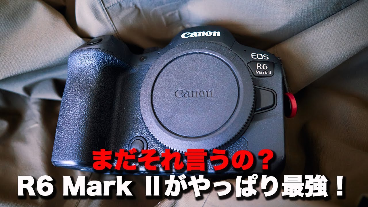 【R6 Mark Ⅱ】しばらくは最強だから買っといた方がいい！