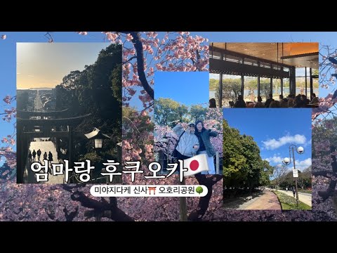 엄마랑 후쿠오카 🇯🇵 반나절 코스 = 미야지다케 신사 빛의길. 오호리공원 산책🌳 동네 빵집 라브리어슈, 돈까스 맛집 쿠로카츠. 완벽했던 하루. 행복했어 엄마🖤
