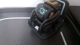 Anki VECTOR playing radio station via Alexa