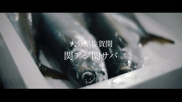 大分県佐賀関　関アジ関サバ　裏側見せてもらってイイですか？予告