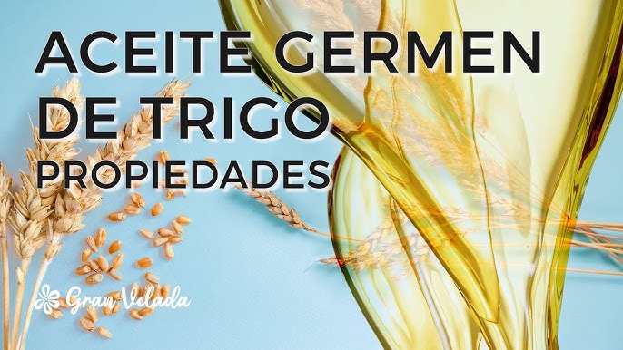 El saludable Germen de Trigo - Mejor Con Salud