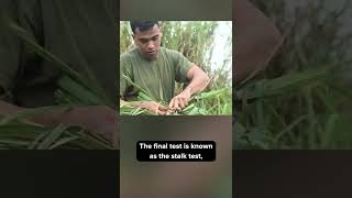 Rigorous Test To Making A Snipers Ghillie Suit