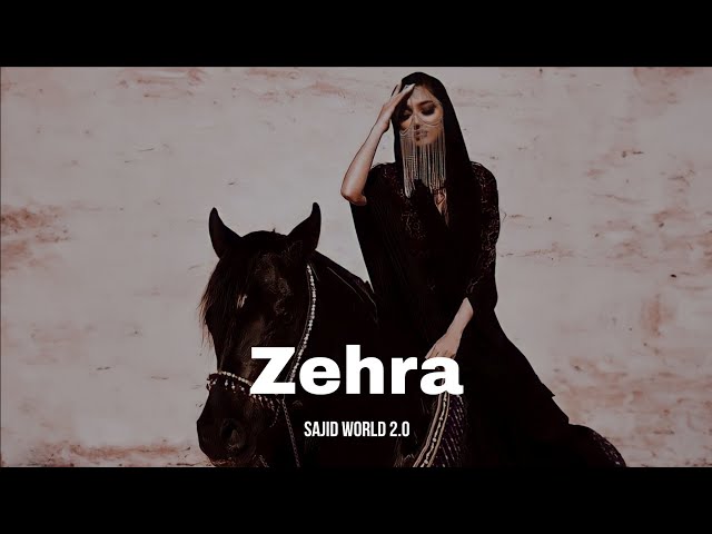 Zehra - Sajid World 2.0 class=