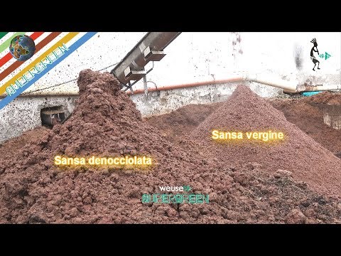 5 - Produzione olio extravergine d'oliva - Riutlizzo scarti - Sansa umida per biogas e nocciolino