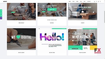 Mint - Creative Multi-Purpose WordPress Theme        Aurangzeb Ulric