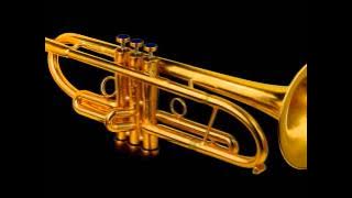 Download lagu Don`t Cry for Me Argentina - Trumpet