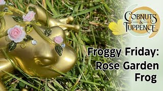 Rose garden frog for #froggyfriday