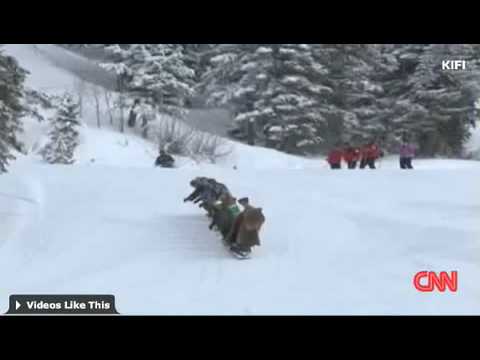 Ten Jews Snowboarding