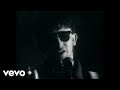 The lightning seeds  all i want official