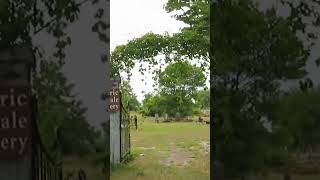 Creepy Entrance to Historic Rosedale Cemetery!