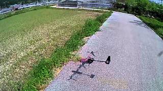 Bicopter Crash