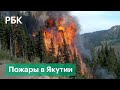 Площадь природных пожаров в Якутии превысила 1.3 млн га