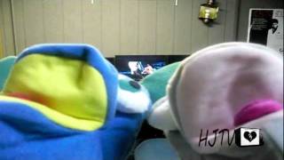 Raid Commercial 2012-Puppet Pests