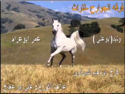 فرقة الجوارح للتراث يطا 4 هلا وهلا