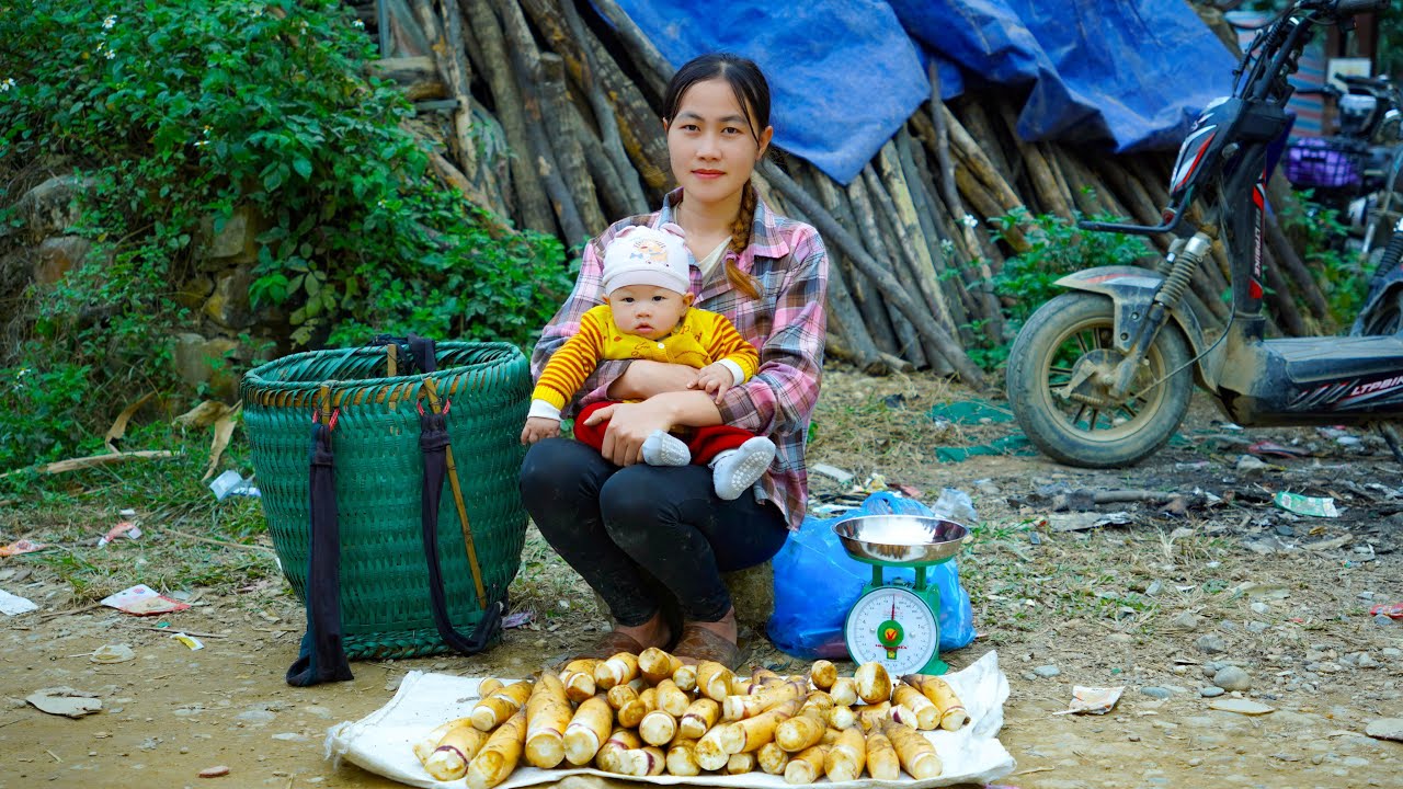 Single Mother Harvests a Bountiful Bamboo Shoot Crop to Sell at the Market with Her Child. Wild Life