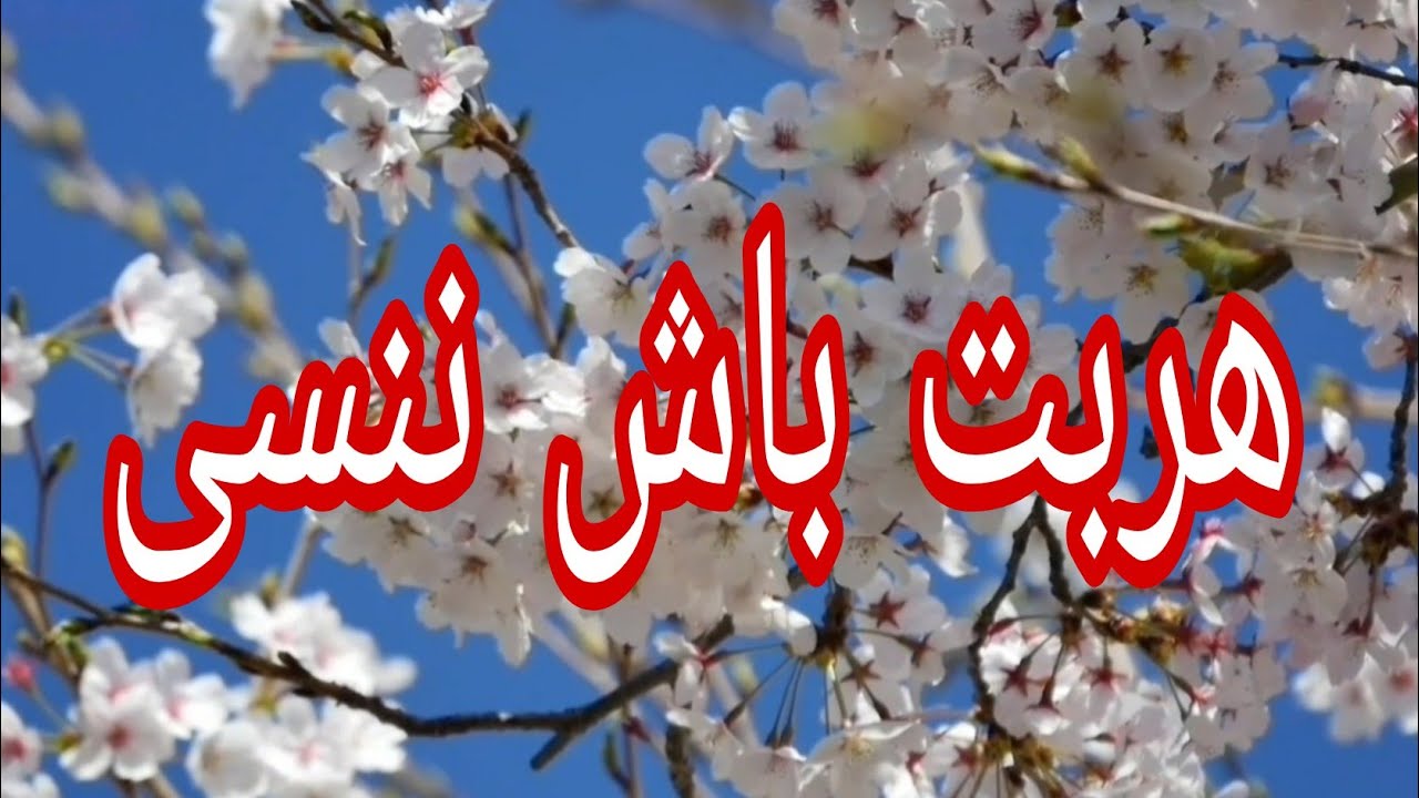 حكاية نزيهة..