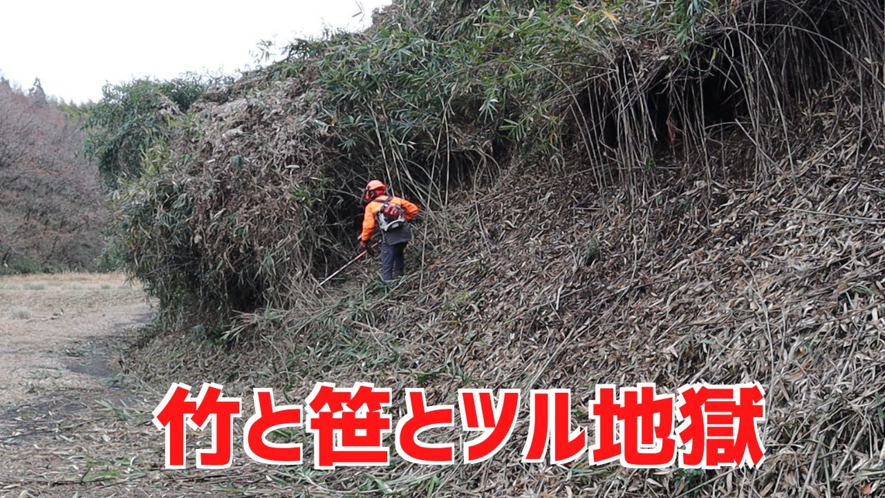 今日も進まない！耕作放棄地の竹と笹とツルの法面の草刈り