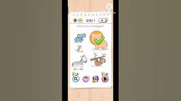 How to pass brain test level 1