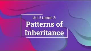 U5L2 Patterns of Inheritance