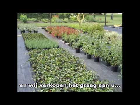Mariënoord in beeld Mariënoord in beeld