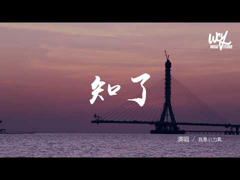 我是小力氣 - 知了「知了不停歇 在重複故事的結尾，秋雨衝刷走落葉 殘留我的思唸」(可轉伴奏和人聲視頻)【動態歌詞/pīn yīn gē cí】
