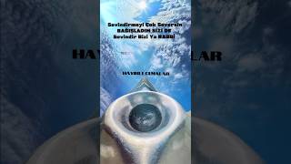 Sevindirmeyi Çok SeversinBAĞIŞLADIM SİZİ DE Sevindir Bizi YaRABBİ     #hayırlıcumalar #cumamesajlari