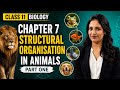 Class 11 Biology Chapter 7 Structural Organisation in Animals Part 1 #biology #neet #kvs #ncert