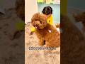 〜飼い犬の生きる道〜season 1