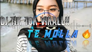 Dj Tik Tok Viral Te Molla Versi Rizky Ayuba🔥🔥