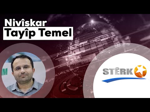 Tayîp Temel: Hêzên paramîlîter, kontrgerîla, mafya û çete