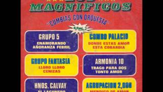 Video thumbnail of "Grupo 5 - Enamorado (1986)"