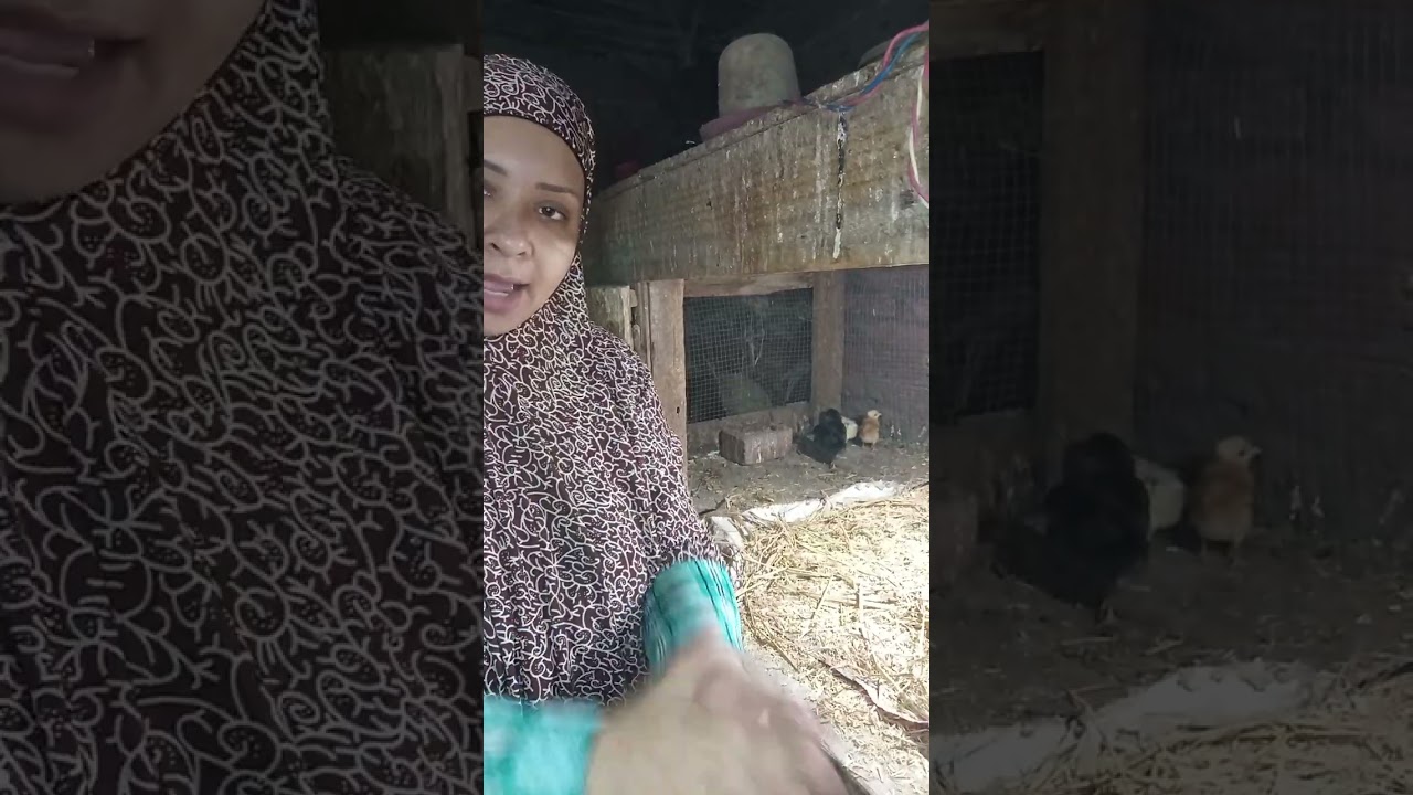 ١٤ نوفمبر ٢٠٢٥