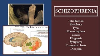 Schizophrenia types, cause, symptoms , diagnosis, prevalence and treatment 🏥