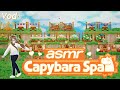 Asmr fr  vod  dcouverte de capybara spa   gaming asmr p1
