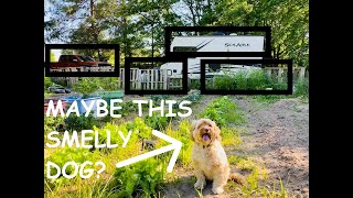 Bylaw Called On. . . . Gardenclone Update 2
