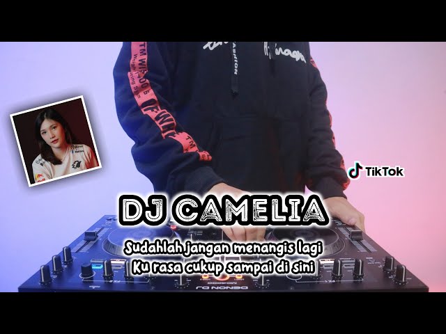 DJ CAMELIA SUDAHLAH JANGAN MENANGIS LAGI - REMIX TERBARU FULL BASS 2022 class=