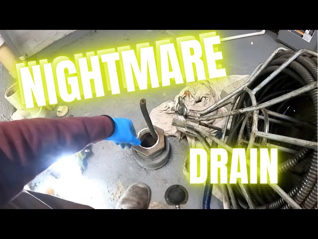 Snake Stuck in the Drain: Unusual Plumbing Solutions