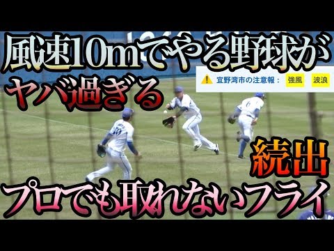 風速１０m•強風注意報の中で行う野球がヤバ過ぎる！レフトへのホームランも続出！凄い風でした！巨人は強風で昼から全体練習中止