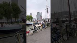 A lot of bikes, a harbour, cruiseship, and some high buildings #scenery #rotterdam #sightseeing A lot of bikes, a harbour, cruiseship, and some high buildings #scenery #rotterdam #sightseeing