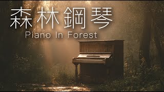 森林琴聲Vol.1 沐浴心靈放鬆時刻 — Ivory Solace Vol.1 | Piano Melodies Bathed in Forest Light